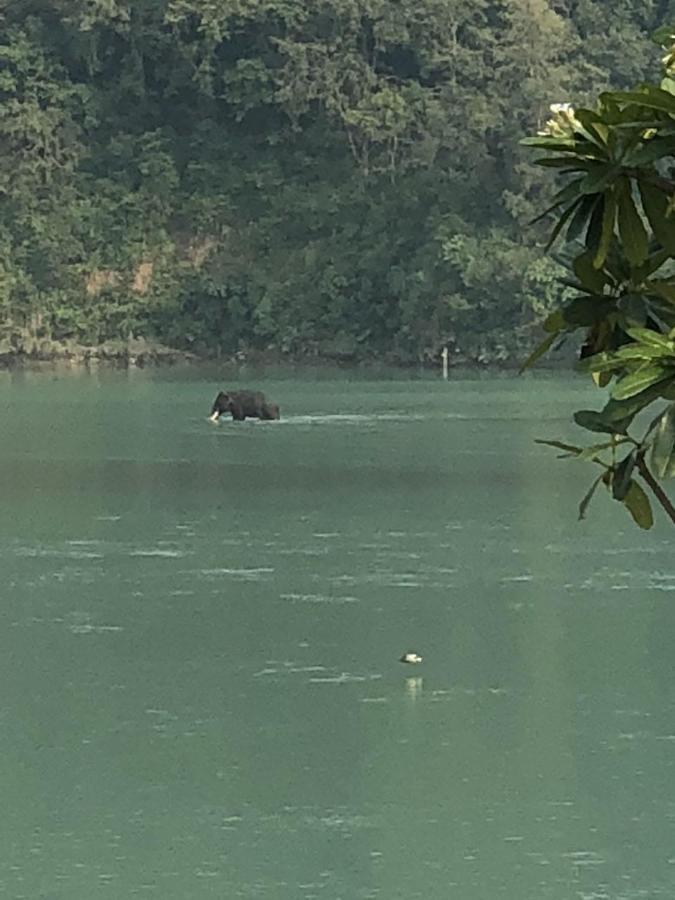 Ganga Forest View Rishīkesh Dış mekan fotoğraf